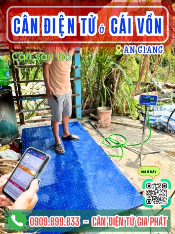 Cân điện tử ở Cái Vồn Vĩnh Long - Cân Gia Phát