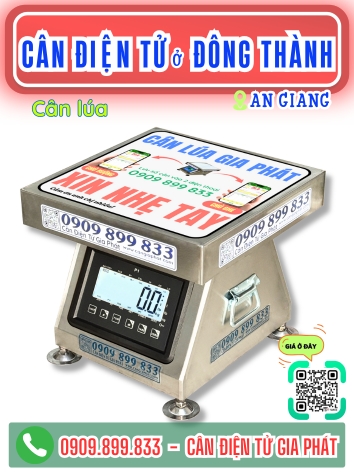 C&acirc;n điện tử ở Đ&ocirc;ng Th&agrave;nh Vĩnh Long - C&acirc;n Gia Ph&aacute;t