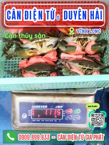 C&acirc;n điện tử ở Duy&ecirc;n Hải Vĩnh Long - C&acirc;n Gia Ph&aacute;t