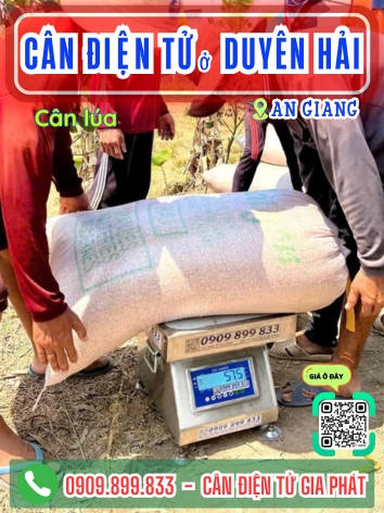 C&acirc;n điện tử ở Duy&ecirc;n Hải Vĩnh Long - C&acirc;n Gia Ph&aacute;t