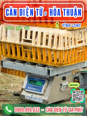 C&acirc;n điện tử ở H&ograve;a Thuận Vĩnh Long - C&acirc;n Gia Ph&aacute;t