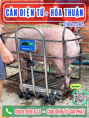 C&acirc;n điện tử ở H&ograve;a Thuận Vĩnh Long - C&acirc;n Gia Ph&aacute;t