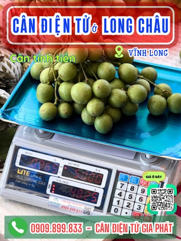 C&acirc;n điện tử ở Long Ch&acirc;u Vĩnh Long - C&acirc;n Gia Ph&aacute;t