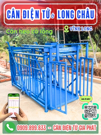 C&acirc;n %u0111i%u1EC7n t%u1EED %u1EDF Long Ch&acirc;u V%u0129nh Long - C&acirc;n Gia Ph&aacute;t