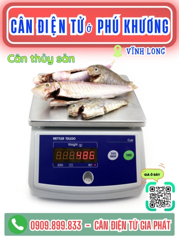 C&acirc;n điện tử ở Ph&uacute; Khương Vĩnh Long - C&acirc;n Gia Ph&aacute;t