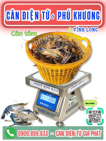C&acirc;n điện tử ở Ph&uacute; Khương Vĩnh Long - C&acirc;n Gia Ph&aacute;t