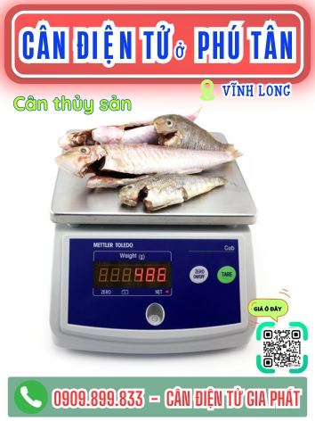 C&acirc;n điện tử ở Ph&uacute; T&acirc;n Vĩnh Long - C&acirc;n Gia Ph&aacute;t