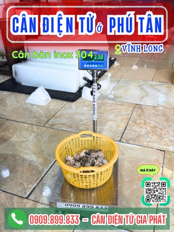 C&acirc;n điện tử ở Ph&uacute; T&acirc;n Vĩnh Long - C&acirc;n Gia Ph&aacute;t