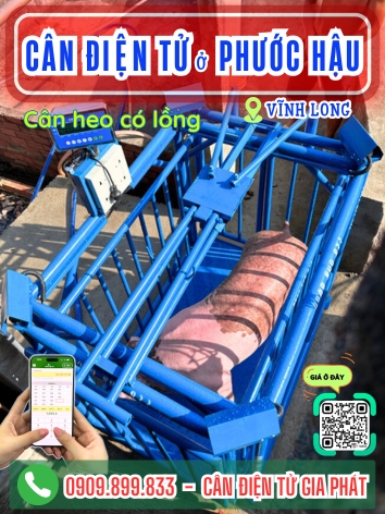 C&acirc;n điện tử ở Phước Hậu Vĩnh Long - C&acirc;n Gia Ph&aacute;t
