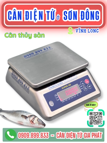 C&acirc;n điện tử ở Sơn Đ&ocirc;ng Vĩnh Long - C&acirc;n Gia Ph&aacute;t