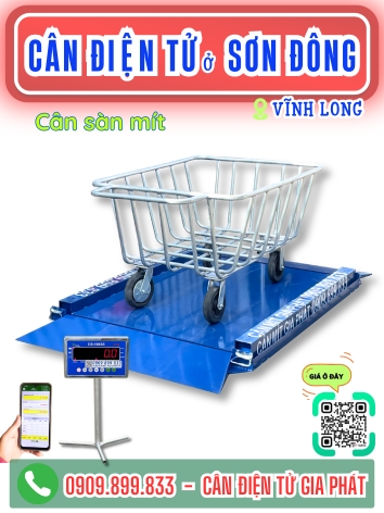 C&acirc;n điện tử ở Sơn Đ&ocirc;ng Vĩnh Long - C&acirc;n Gia Ph&aacute;t