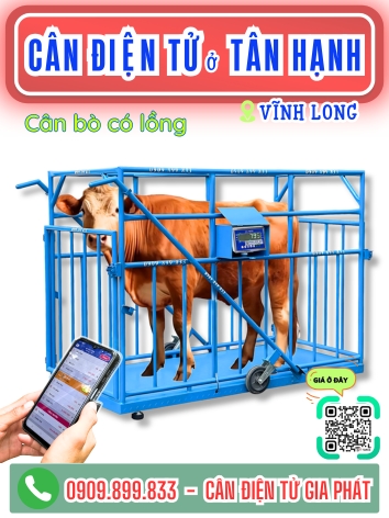 C&acirc;n điện tử ở T&acirc;n Hạnh Vĩnh Long - C&acirc;n Gia Ph&aacute;t
