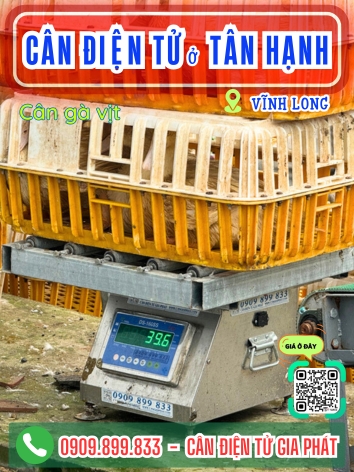C&acirc;n điện tử ở T&acirc;n Hạnh Vĩnh Long - C&acirc;n Gia Ph&aacute;t