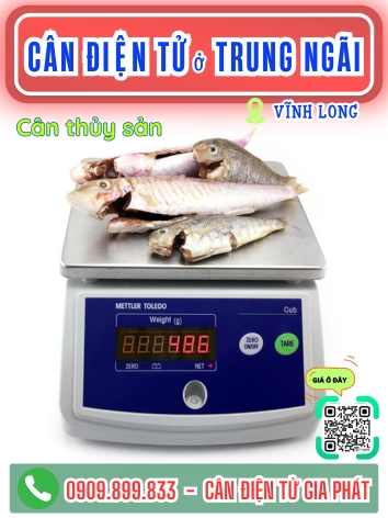 C&acirc;n điện tử ở Trung Ng&atilde;i Vĩnh Long - C&acirc;n Gia Ph&aacute;t
