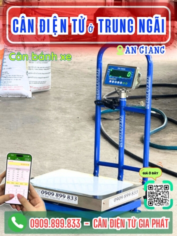 C&acirc;n điện tử ở Trung Ng&atilde;i Vĩnh Long - C&acirc;n Gia Ph&aacute;t