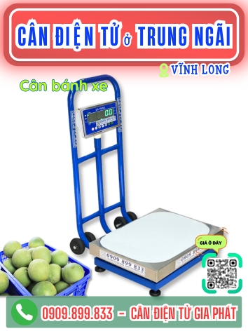 C&acirc;n điện tử ở Trung Ng&atilde;i Vĩnh Long - C&acirc;n Gia Ph&aacute;t