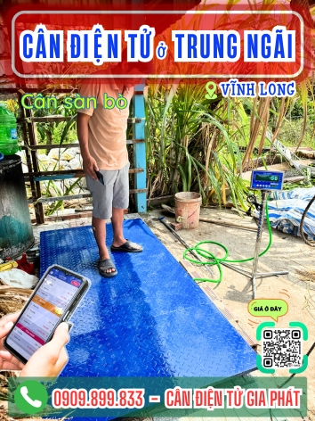 C&acirc;n điện tử ở Trung Ng&atilde;i Vĩnh Long - C&acirc;n Gia Ph&aacute;t