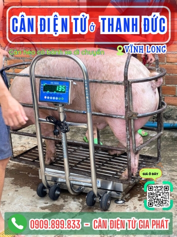 C&acirc;n điện tử ở phường Thanh Đức Vĩnh Long - C&acirc;n Gia Ph&aacute;t