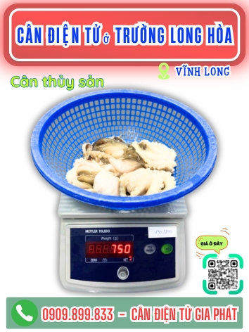 C&acirc;n điện tử ở phường Trường Long H&ograve;a Vĩnh Long - C&acirc;n Gia Ph&aacute;t