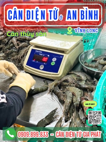 C&acirc;n điện tử ở x&atilde; An B&igrave;nh Vĩnh Long - C&acirc;n Gia Ph&aacute;t