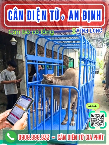 C&acirc;n điện tử ở x&atilde; T&acirc;n Hạnh Vĩnh Long - C&acirc;n Gia Ph&aacute;t