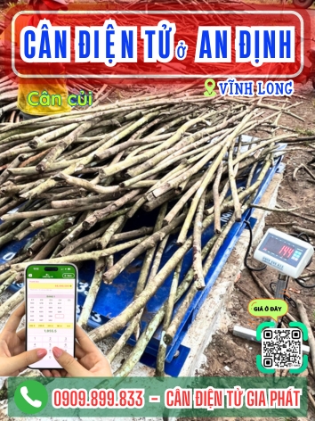 C&acirc;n điện tử ở An Định Vĩnh Long - C&acirc;n Gia Ph&aacute;t