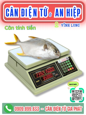 C&acirc;n điện tử ở x&atilde; An Hiệp Vĩnh Long - C&acirc;n Gia Ph&aacute;t