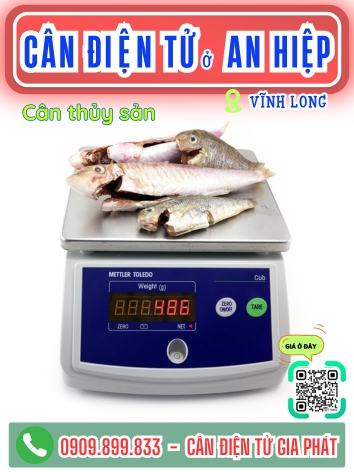 C&acirc;n điện tử ở x&atilde; An Hiệp Vĩnh Long - C&acirc;n Gia Ph&aacute;t