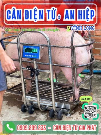 C&acirc;n điện tử ở x&atilde; An Hiệp Vĩnh Long - C&acirc;n Gia Ph&aacute;t