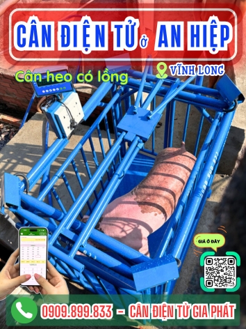 C&acirc;n điện tử ở x&atilde; An Hiệp Vĩnh Long - C&acirc;n Gia Ph&aacute;t