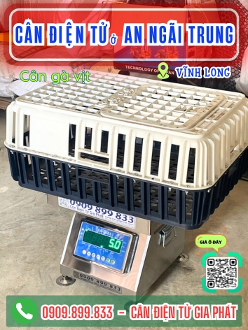 C&acirc;n điện tử ở An Ng&atilde;i Trung Vĩnh Long - C&acirc;n Gia Ph&aacute;t