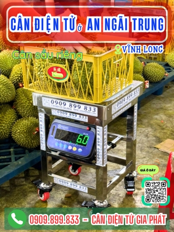 C&acirc;n điện tử ở An Ng&atilde;i Trung Vĩnh Long - C&acirc;n Gia Ph&aacute;t