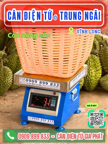 C&acirc;n điện tử ở An Ng&atilde;i Trung Vĩnh Long - C&acirc;n Gia Ph&aacute;t