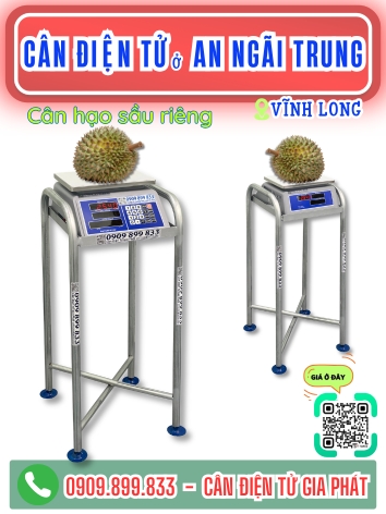 C&acirc;n điện tử ở An Ng&atilde;i Trung Vĩnh Long - C&acirc;n Gia Ph&aacute;t