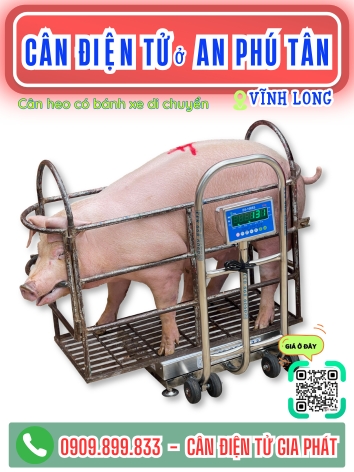 C&acirc;n điện tử ở x&atilde; An Ph&uacute; T&acirc;n Vĩnh Long - C&acirc;n Gia Ph&aacute;t