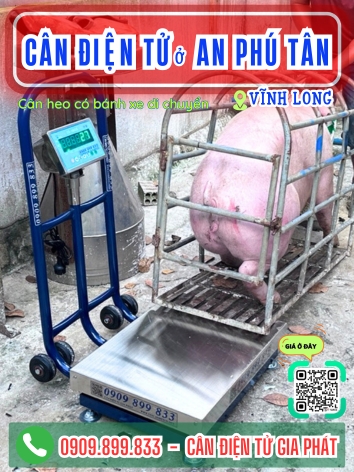 C&acirc;n điện tử ở x&atilde; An Ph&uacute; T&acirc;n Vĩnh Long - C&acirc;n Gia Ph&aacute;t