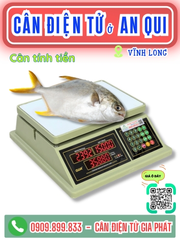 Cân điện tử ở xã An Qui Vĩnh Long - Cân Gia phát
