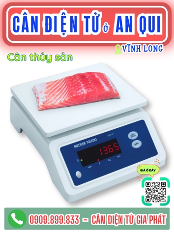 C&acirc;n điện tử ở x&atilde; An Qui Vĩnh Long - C&acirc;n Gia ph&aacute;t