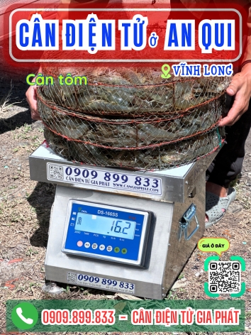 Cân điện tử ở xã An Qui Vĩnh Long - Cân Gia phát