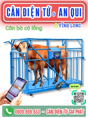 C&acirc;n điện tử ở x&atilde; An Qui Vĩnh Long - C&acirc;n Gia ph&aacute;t