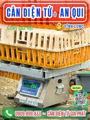 Cân điện tử ở xã An Qui Vĩnh Long - Cân Gia phát