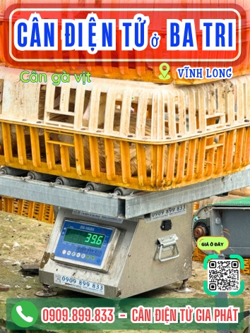 Cân điện tử ở xã Ba Tri Vĩnh Long - Cân Gia Phát