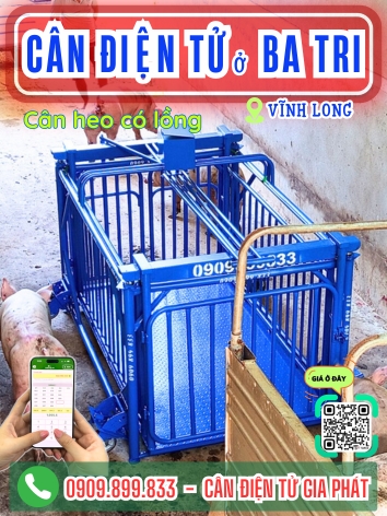 Cân điện tử ở xã Ba Tri Vĩnh Long - Cân Gia Phát