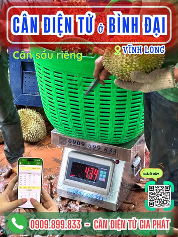 C&acirc;n điện tử ở x&atilde; B&igrave;nh Đại Vĩnh Long - C&acirc;n Gia Ph&aacute;t