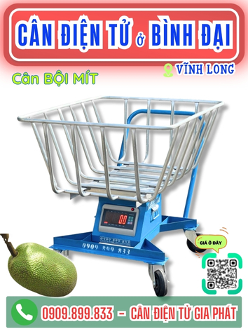 C&acirc;n điện tử ở x&atilde; B&igrave;nh Đại Vĩnh Long - C&acirc;n Gia Ph&aacute;t