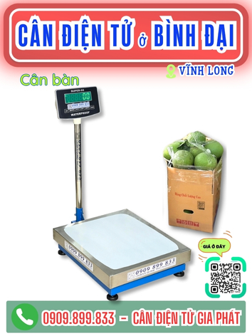 C&acirc;n điện tử ở x&atilde; B&igrave;nh Đại Vĩnh Long - C&acirc;n Gia Ph&aacute;t