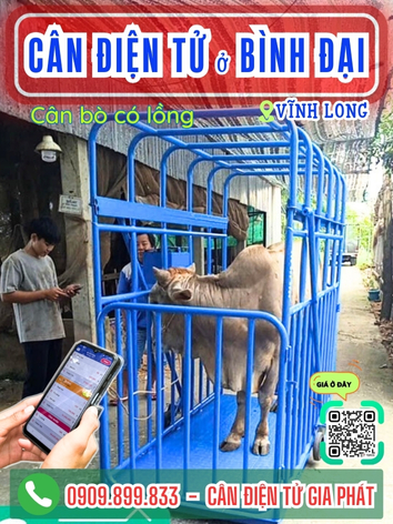 C&acirc;n điện tử ở x&atilde; B&igrave;nh Đại Vĩnh Long - C&acirc;n Gia Ph&aacute;t