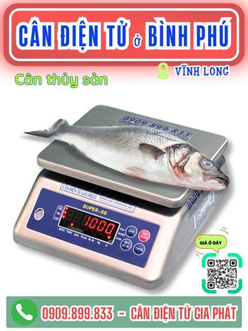 C&acirc;n điện tử ở B&igrave;nh Ph&uacute; Vĩnh Long - C&acirc;n Gia Ph&aacute;t