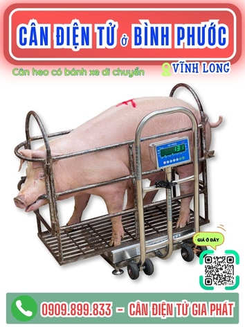 C&acirc;n điện tử ở B&igrave;nh Phước Vĩnh Long - C&acirc;n Gia Ph&aacute;t