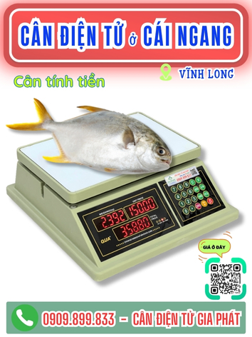 C&acirc;n điện tử ở C&aacute;i Ngang Vĩnh Long - C&acirc;n Gia Ph&aacute;t
